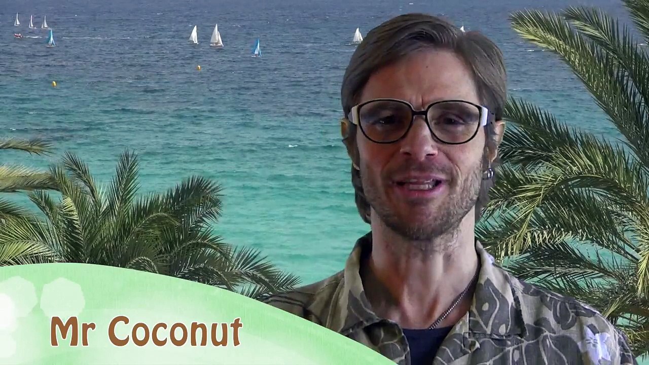 チャネル紹介！！元ファニエスト外語学院のセインカミュの Mr Coconutようこそ！！