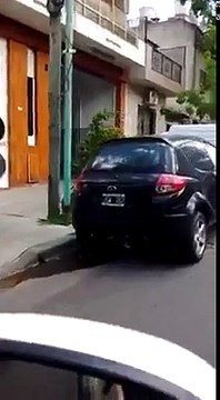 Une drôle de façon de se garer...