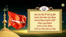 زيارة الأربعين/ زيارة الإمام الحسين عليه السلام في شهر صفر