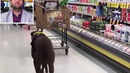 Dog is truly a good man when they show their loyalty to people