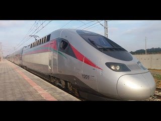مفاجأة - مشروع القطار المصري الجديد - يربط العالمين بالسخنة والعاصمة الادارية