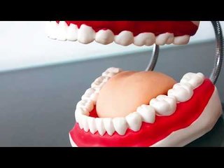 الطريقة المثالية للحفاظ على أسنانك -  د.أحمد الشناوي