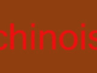 Le chinois