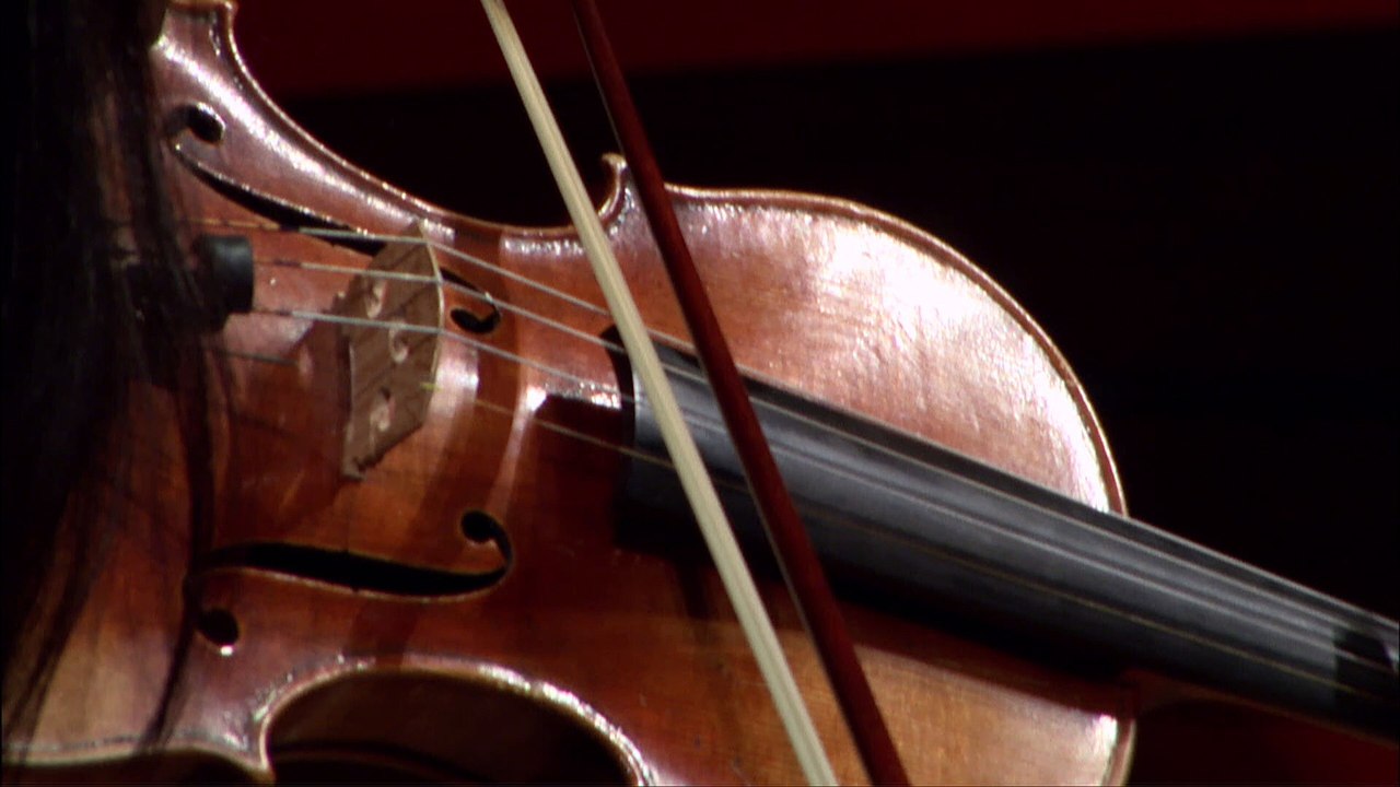 Schubert, Arr. Jean-Luc Fafchamps : 4 Lieder (Albane Carrère / Quatuor Alfama)