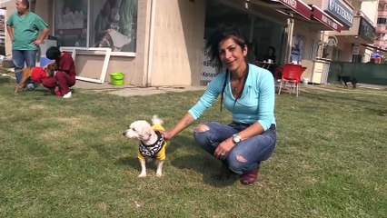 Köpeği veteriner bahçesine bağlayıp terk ettiler