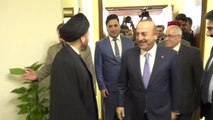Dışişleri Bakanı Mevlüt Çavuşoğlu, Ulusal Hikmet Akımı'nın Lideri Seyyit Ammar ile Görüştü
