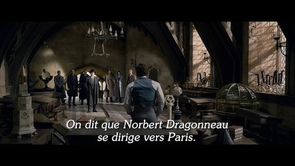 Les acteurs des ANIMAUX FANTASTIQUES annoncent l'avant-première mondiale du film à PARIS !
