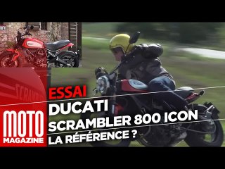 Ducati Scrambler 800 Icon 2019 - Toujours la référence