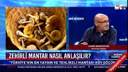 Zehirli mantar nasıl anlaşılır?