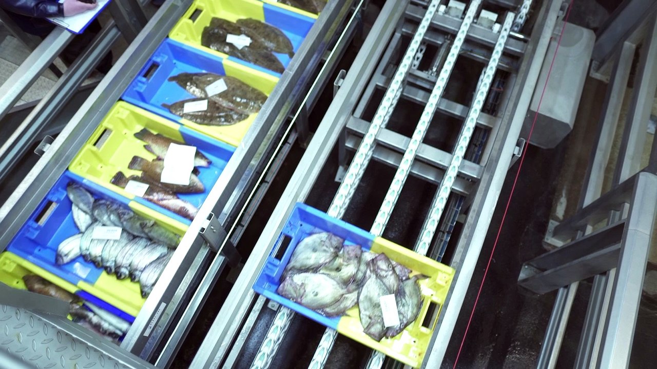 Attractivité des métiers de la pêche : parole aux professionnels