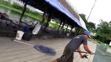 BUKAN MAIN UMPAN TELOR SEMUT MEMANG AMPUH MANCING IKAN MOSTER