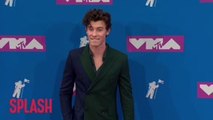 Shawn Mendes has scars after scooter fall