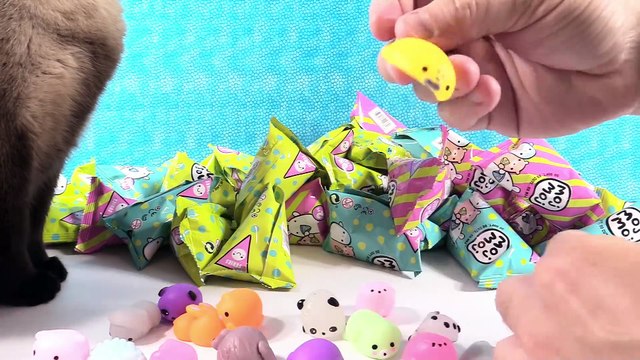 Mega 100 Moj Moj Giant Squishy Squishies Opening Toy Review _ PSToyReviews