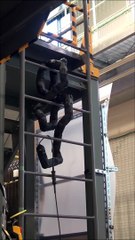 Ce robot serpent peut monter à l'échelle... effrayant !