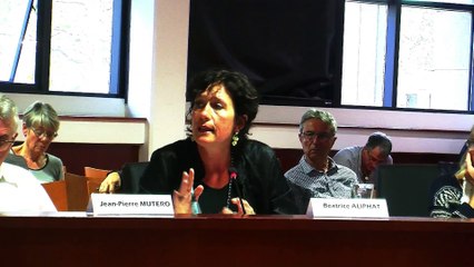 Quelques échanges pendant le débat sur la construction d'un collège privé à Saint-Mitre