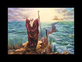 سفر الخروج - الأصحاح السادس عشر