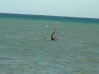 Kitesurf a elgouna - premiers bords