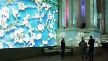 Brussels: Van Gogh - The Immersive Experience