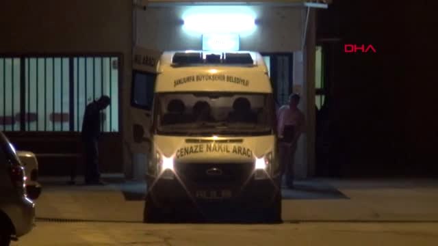 Şanlıurfa Harran'da Güvercin Alışverişi Kavgası: 1 Ölü