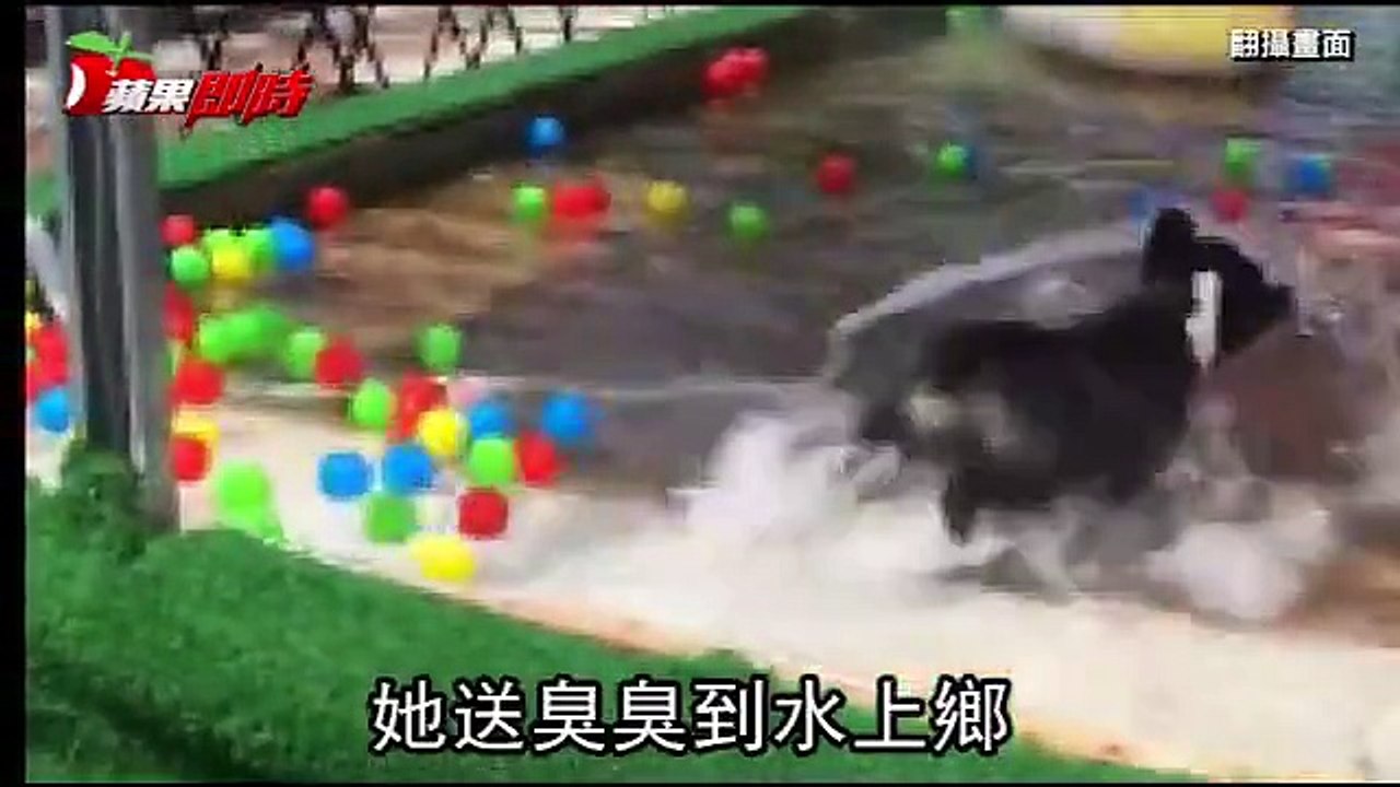 說一個謊要用無數的謊來圓...　　【圖文報導】裝孝維！狗兒猝死寵物樂園遭棄屍　店家謊稱走失被揭穿下跪道歉 　【完整 #動新聞】 　#放輕鬆寵物樂園