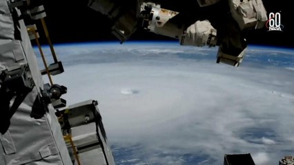 ABD’yi vuran Michael Kasırgası Florida'yı yerle bir etti