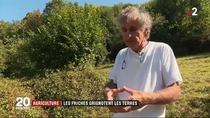 Agriculture : les friches grignotent des terres