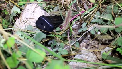 Barda silahlı kavga: 1 gözaltı - ADANA