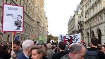 Avusturya'da hükümet karşıtı gösteri - VİYANA
