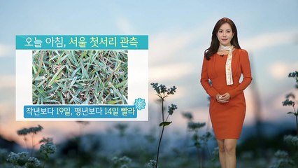 [날씨] 오늘 아침, 서울 첫 서리...연이틀 올가을 최저 / YTN