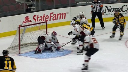 AHL: Wilkes-Barre/Scranton Penguins 3 Cleveland Monsters 0