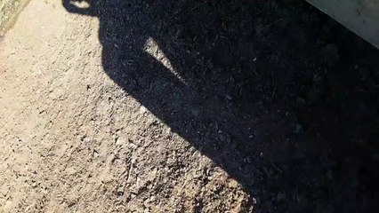 falls face first off of his bicycle