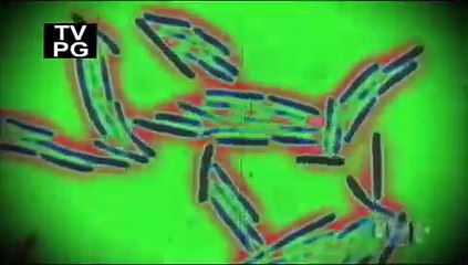 MythBusters - Double Dipping