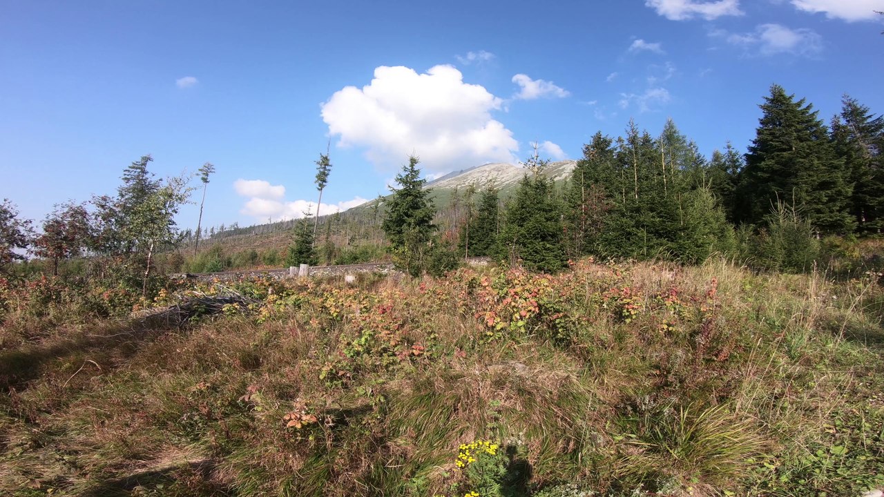 Słowackie Tatry z psem - zbójnicka chata - dolina staroleśna 4K