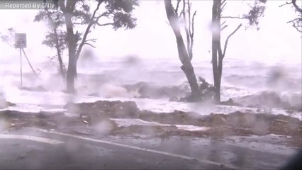 Hurricane Michael: 'Every Telephone Pole Is Snapped In Half"
