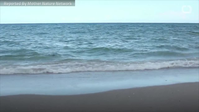 Eight Cities Around The World Are Sinking Into The Ocean