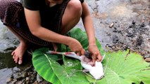 Primitive Technology - Cooking Big Cat fish by Girl At river - grilled fish Eating delicious