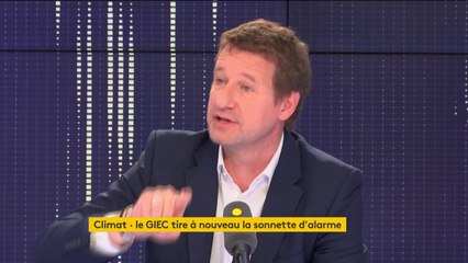 Les végans qui s'attaquent aux boucheries : "Des crétins" qui remettent "en cause le combat contre la souffrance animale" pour Yannick Jadot