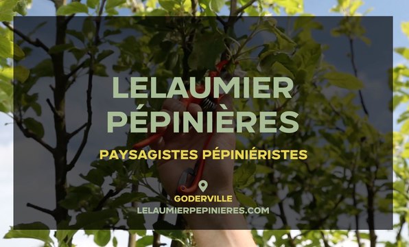 Pépiniériste et paysagiste - Jardinerie, élagage, arbres, plantes, fleur à Goderville 76