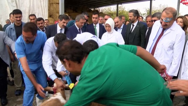 Bakan Pakdemirli’den müjde...Yerli karkas et fiyatları 29 TL’den alınacak