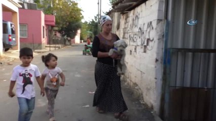 Antalya'da Yangından, 'Cesur' Köpeğin Kurtardığı Aileye Yardım Eli