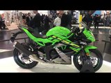 Kawasaki Ninja 125 | Intermot 2018