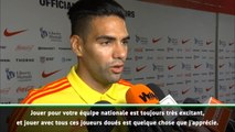 Amical - Falcao : 