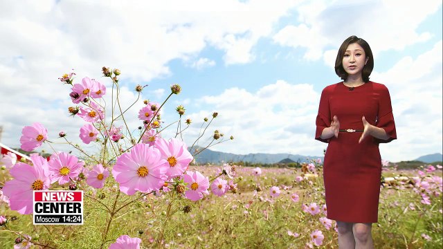 Clear skies this weekend with big temperature gaps _ 101218