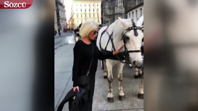 Ajda Pekkan'ın at sevgisi
