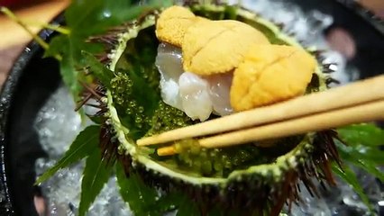 Japanese Food & $300 HIGH END SUSHI Teruzushi SUSHIBAE Japan
