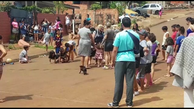 Crianças participam de festividade especial no XIV de Novembro