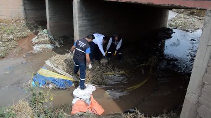 Yaralı köpeğin imdadına belediye yetişti - AĞRI