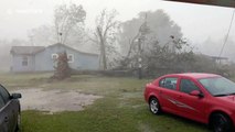 Large tree uprooted by 150mph winds as Florida as storm rages on