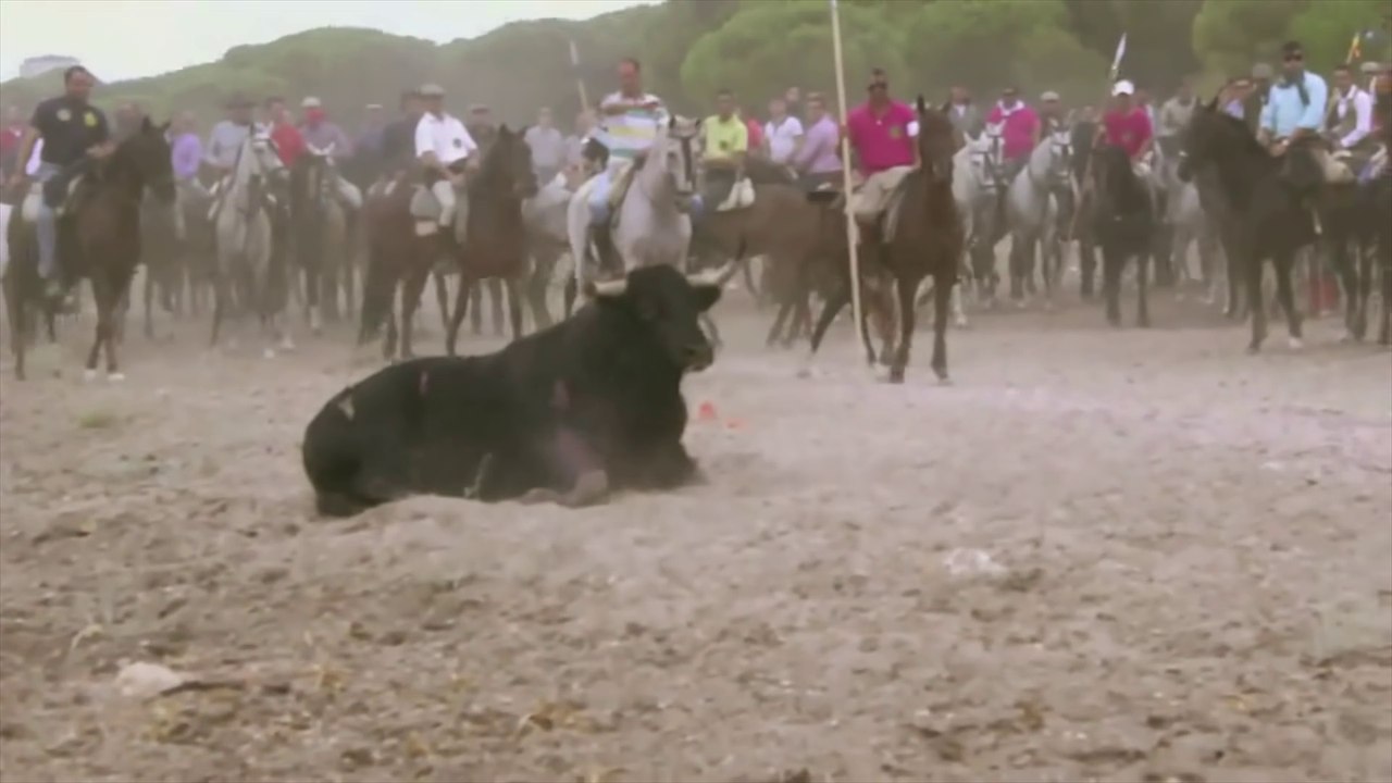 Fêtes en Espagne : la cruauté avec les animaux : taureau, oies, canards...