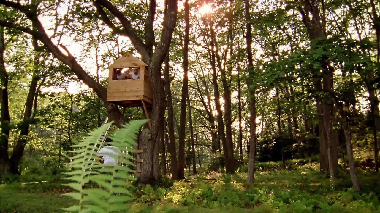 AĞAÇ EV USTALARI | 1. Sezon 1. Bölüm